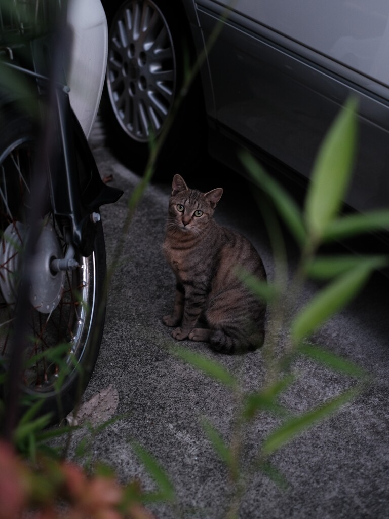 視線