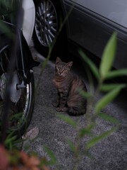 視線