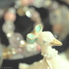 いつかの夢