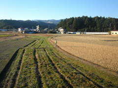 まほろば街道（土佐）探索日記