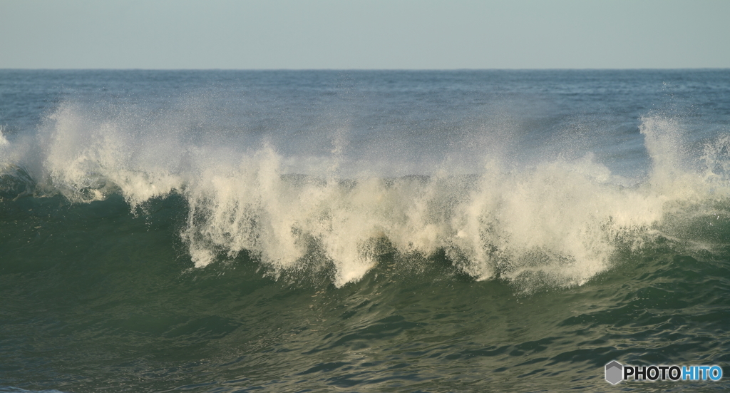 ＷＡＶＥ