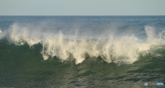 ＷＡＶＥ