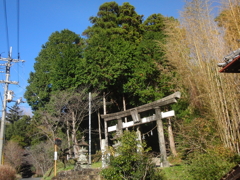 まほろば街道（土佐）探索日記