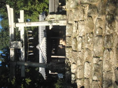 まほろば街道（土佐）探索日記