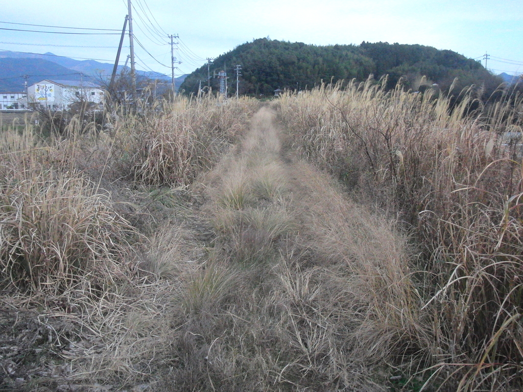 まほろば街道（土佐）探索日記