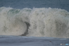 ＷＡＶＥ