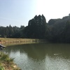 地元で釣り