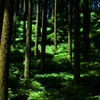 IMG_8853_Fotor