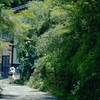 IMG_8866_Fotor