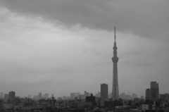 スカイツリーと都会