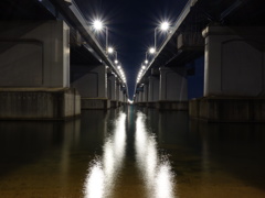 夜の琵琶湖大橋2