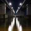 夜の琵琶湖大橋2