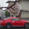 花2