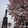 琵琶湖の灯台と桜（と自転車）