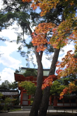 ８月の京都