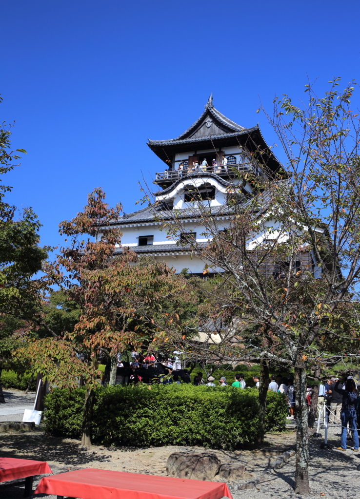 国宝犬山城