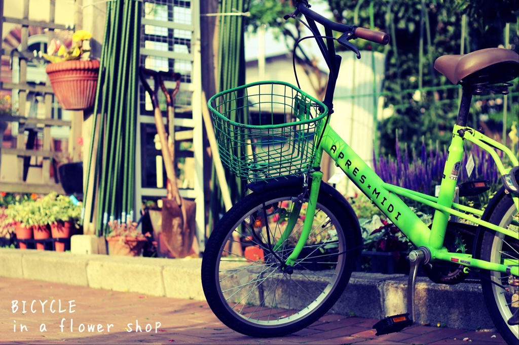 BICYCLE in a flower shop