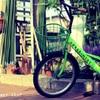 BICYCLE in a flower shop