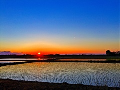 夕日