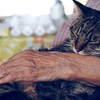 祖母と猫 ②