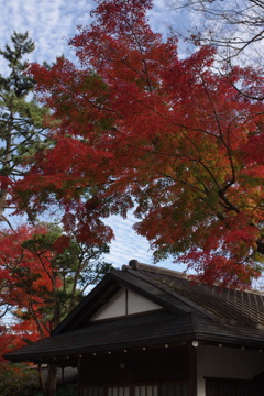 燃ゆる空
