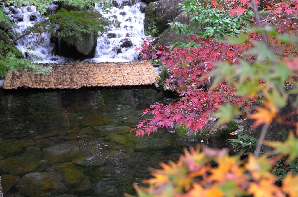 お屋敷の紅葉③