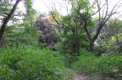 古墳山頂