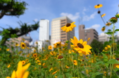 街の公園