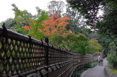 お屋敷の紅葉⑩