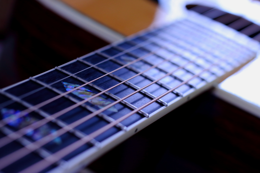 Acoustic Guitar Neck