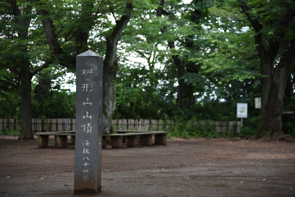 枡形山・山頂