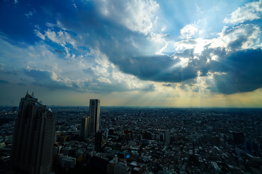 新宿都庁③