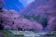 観音寺川