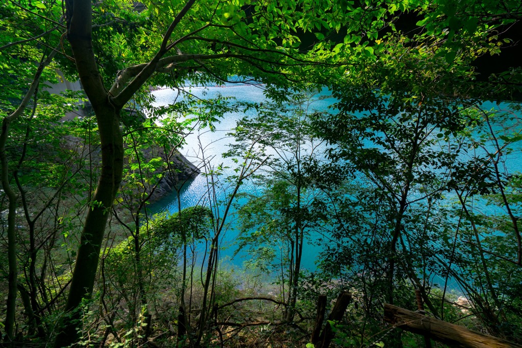 高取山登山道①