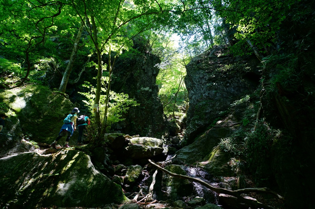 Contax N Vario-Sonnar T* 17-35mm f2.8 ②