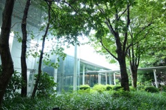 相模原博物館①