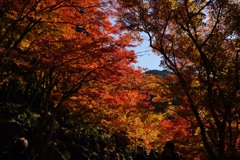 香嵐渓⑦