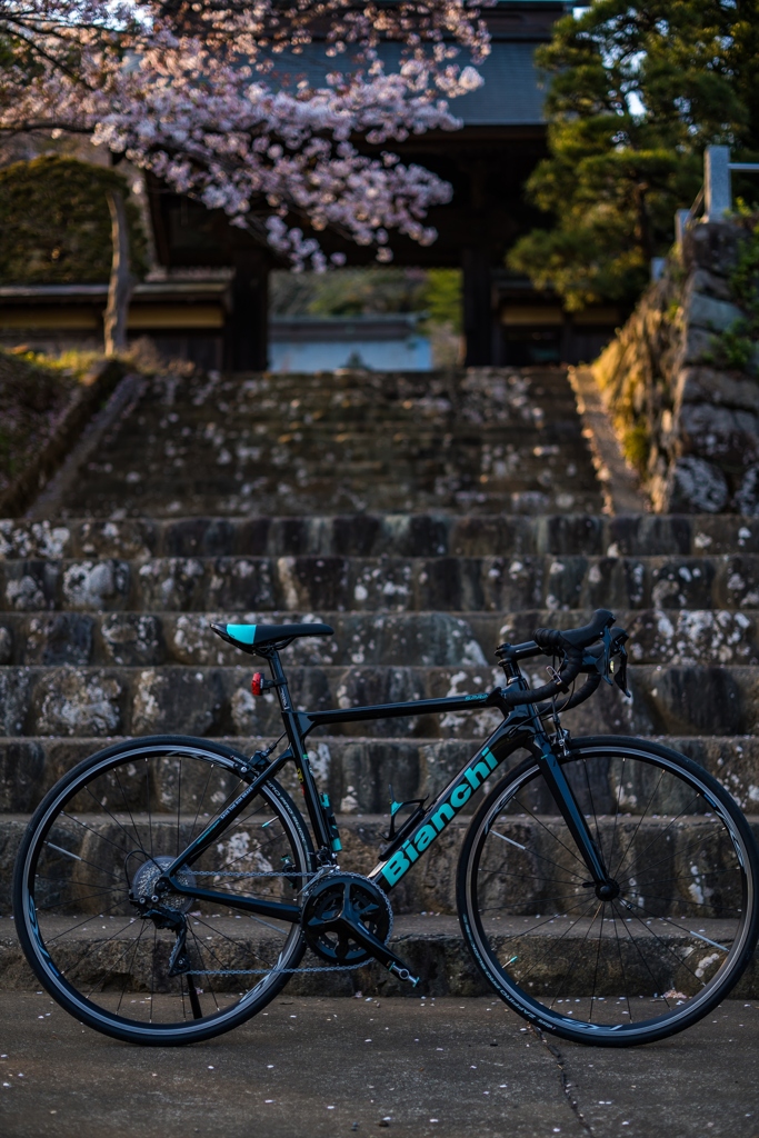 光明寺①