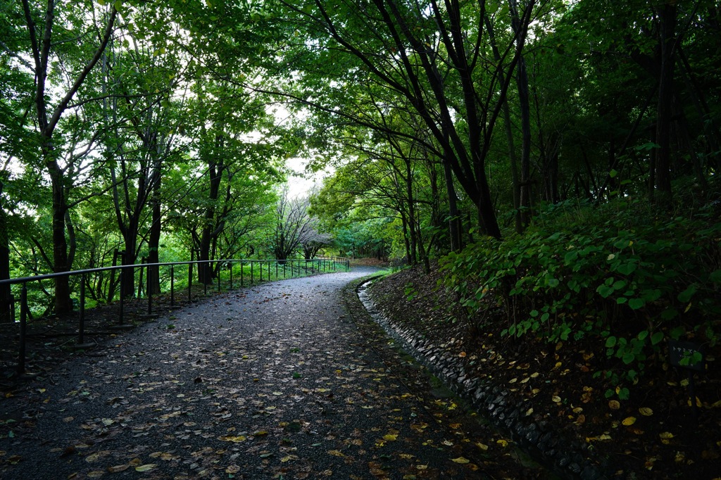 栃谷戸公園②