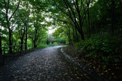 栃谷戸公園②