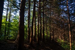 2018初夏・高取山⑤