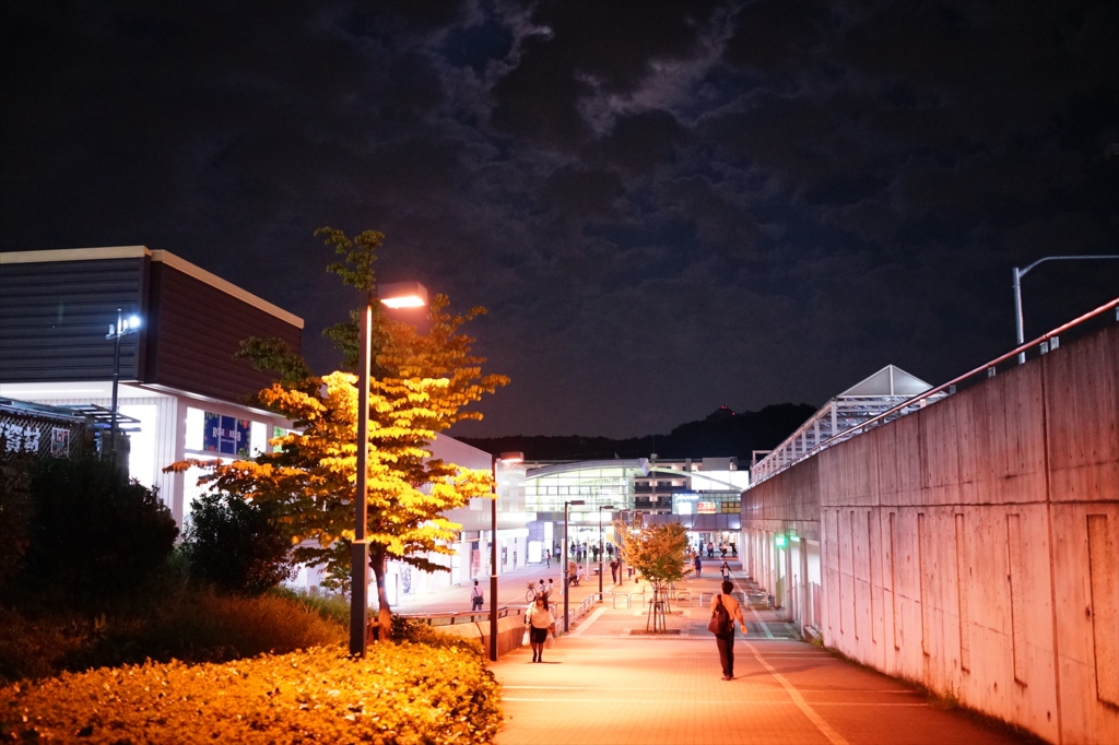 みなみ野駅①