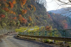 早戸川林道