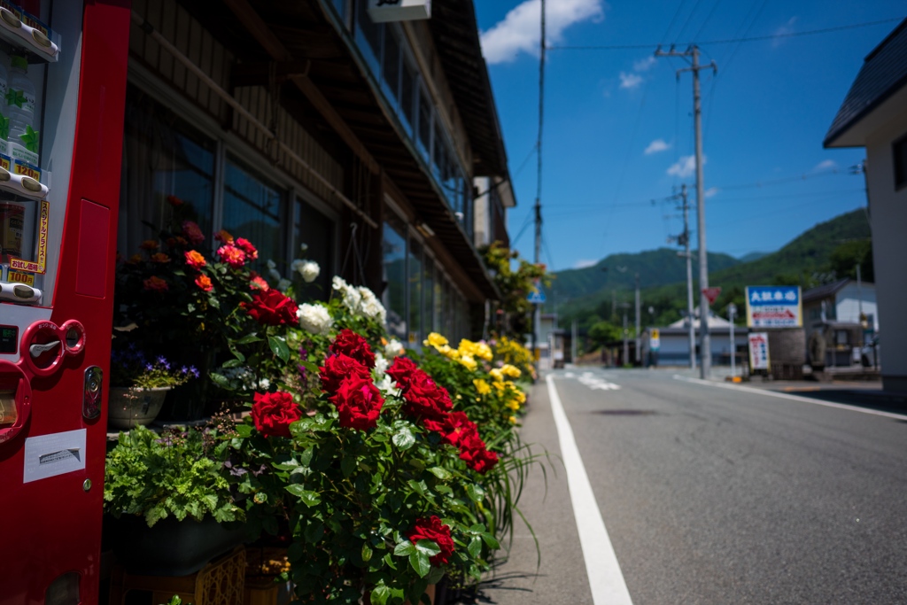 山寺⑦