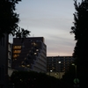 EL-Nikkor 75mm④