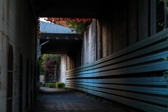 北野②