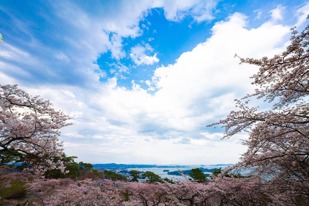 西行戻しの松公園②