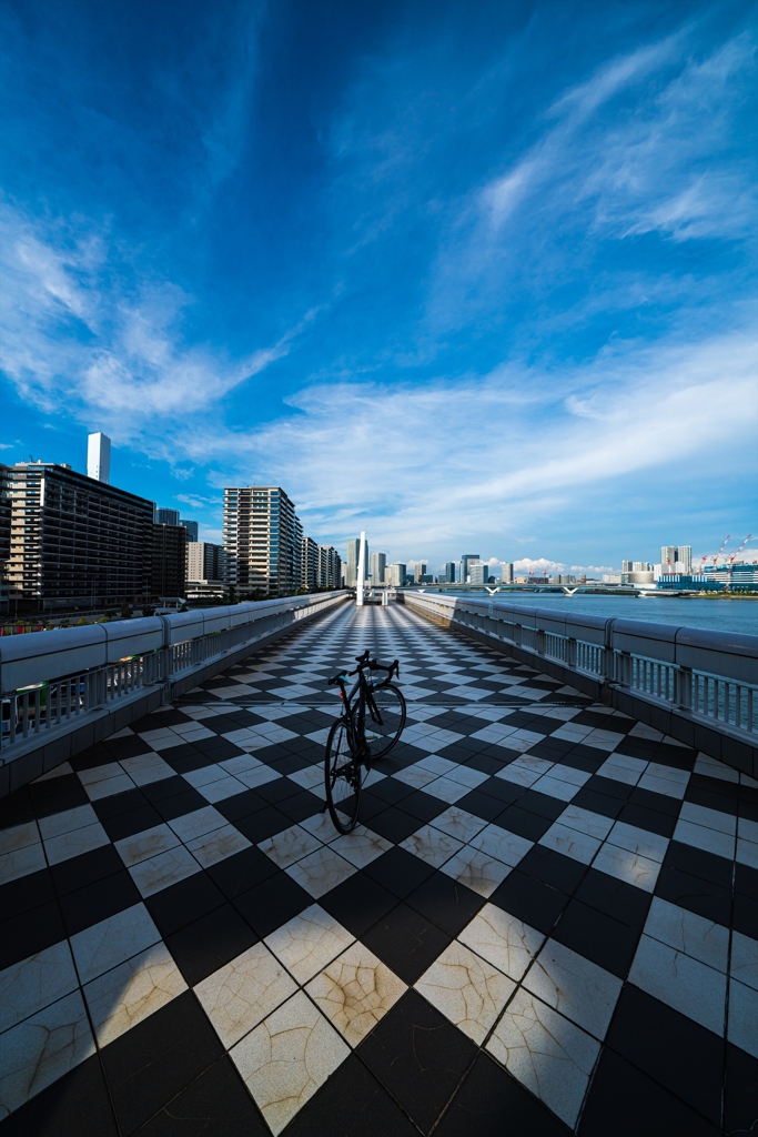 晴海②
