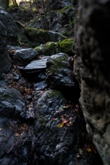 棒ノ嶺登山道～白谷沢④