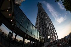 東京スカイツリー④